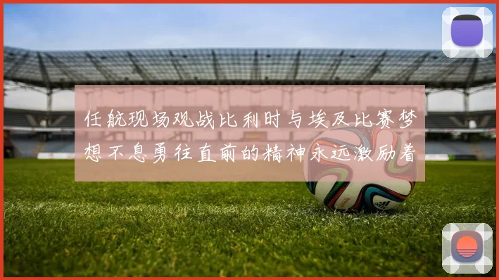 任航现场观战比利时与埃及比赛梦想不息勇往直前的精神永远激励着我们